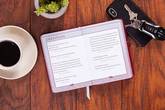 Bible Promises for Graduates (Red Cover)