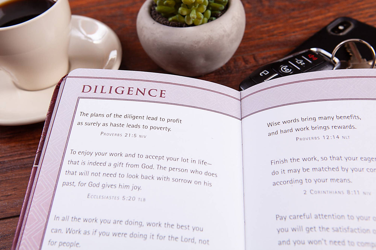 Bible Promises for Graduates (Red Cover)