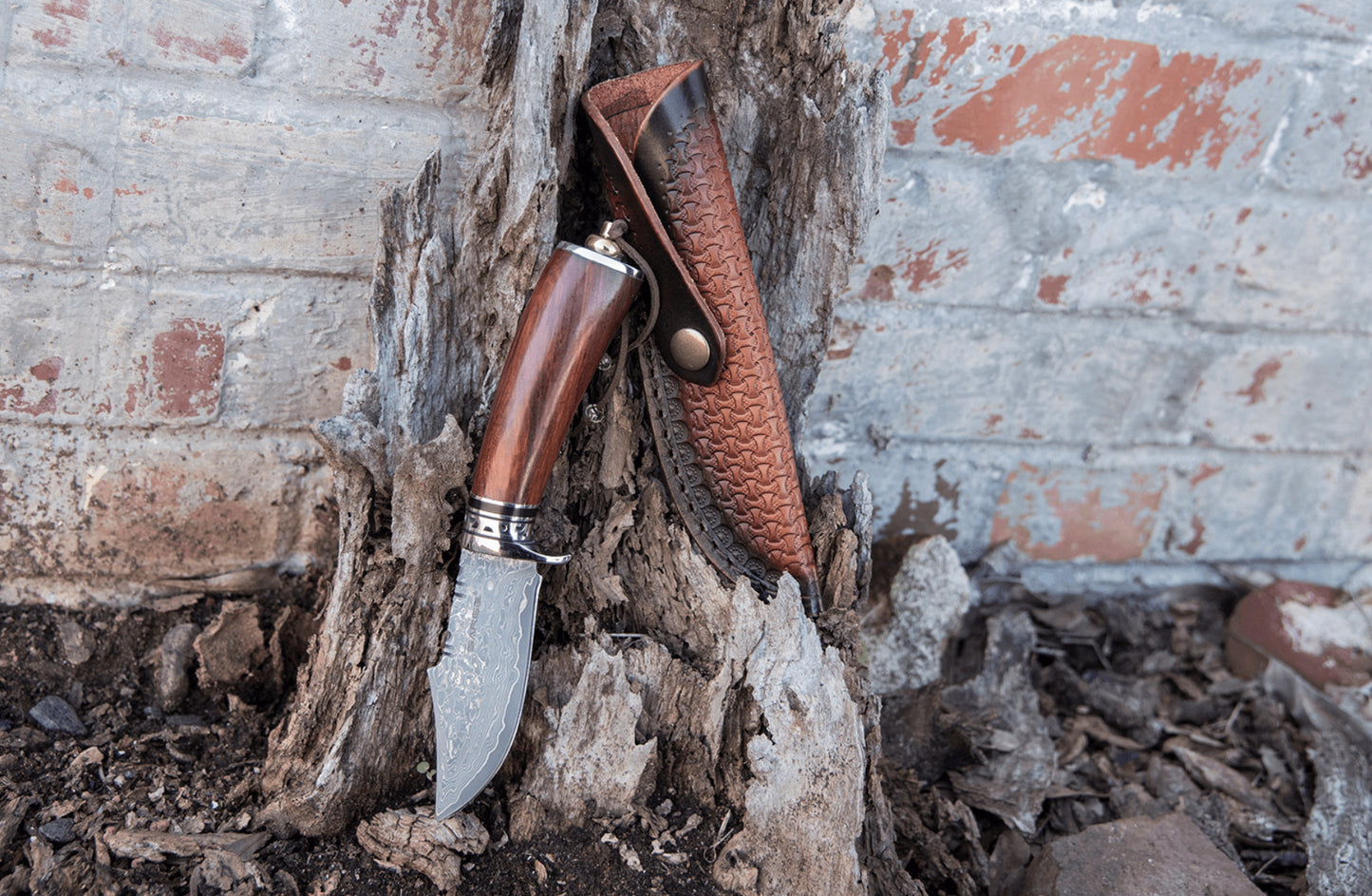 Tribe - Damascus Fixed Blade