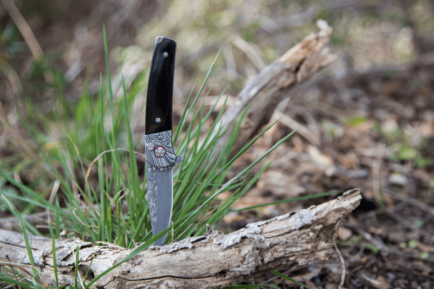 Falcon - Damascus & Buffalo Horn Folder