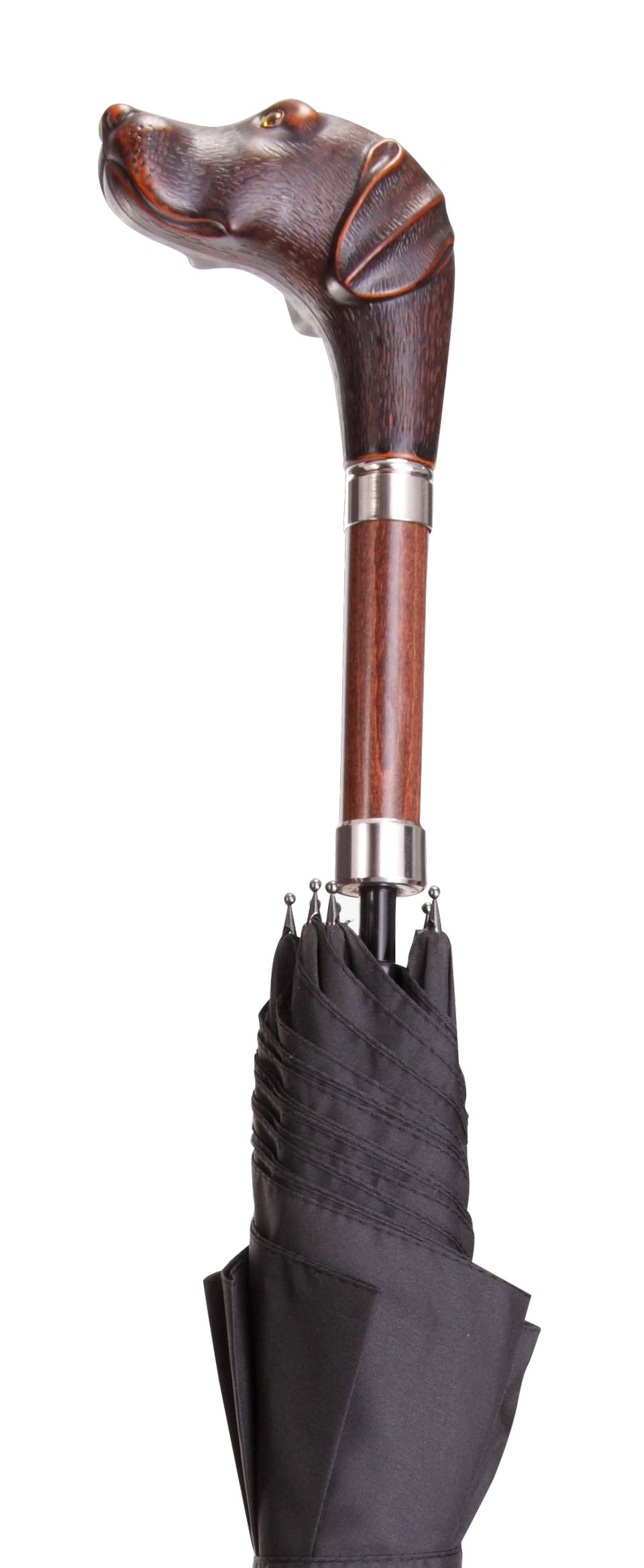 Harvy Canes - Brownie Umbrella