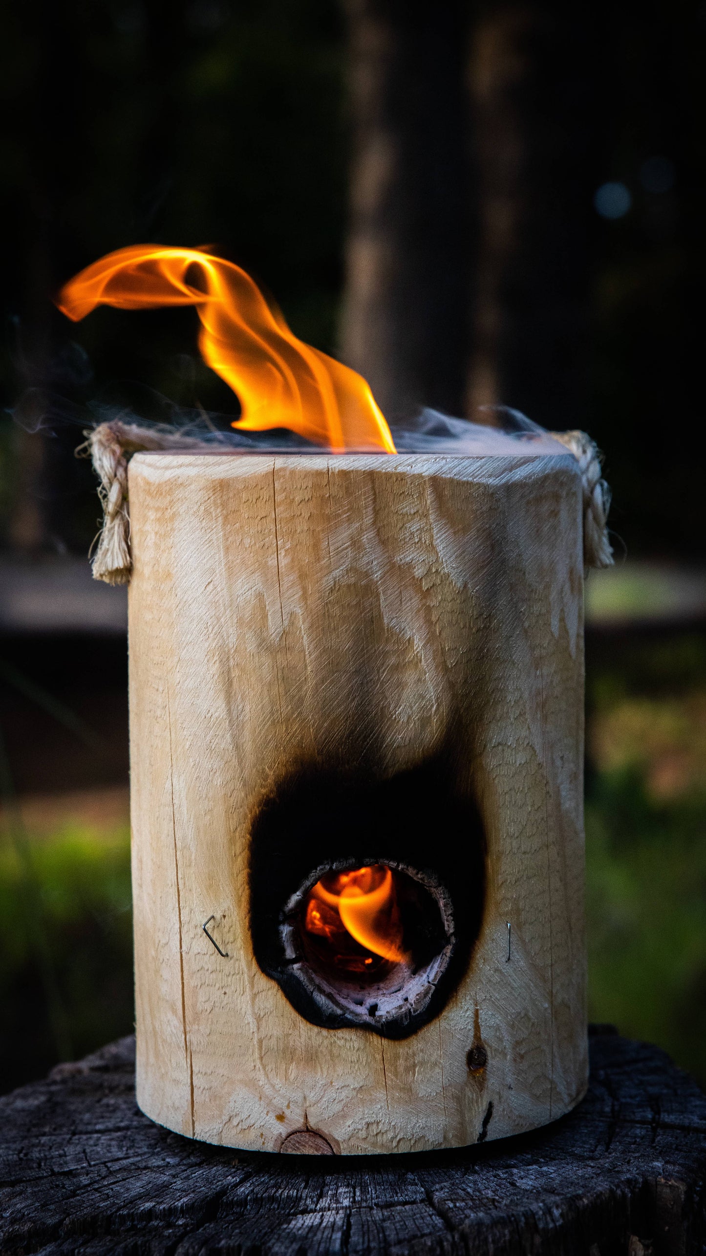 OneLogFire - 6-Logs per case - 2-Hour burn time