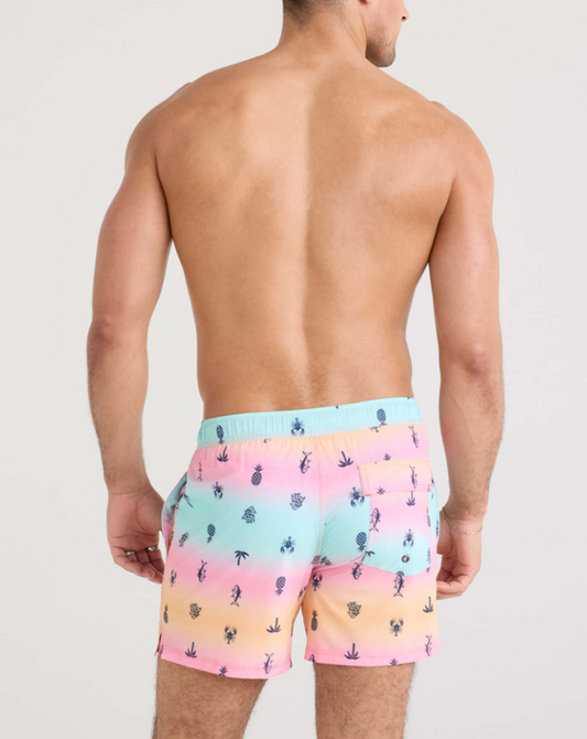 Saxx - Summer Ombre 5" Swim Trunks