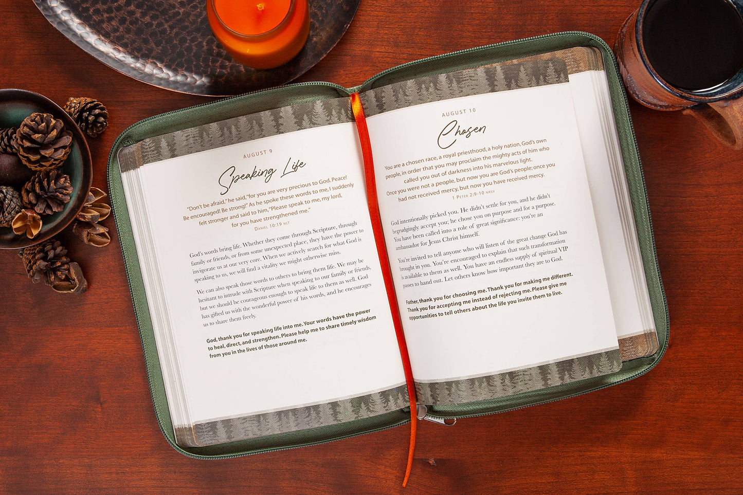 Strength for Today for Men (Daily Devotional)