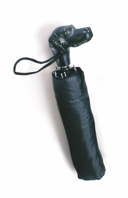 Harvy Canes - Mini Folding Umbrellas