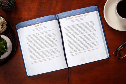 Daily Wisdom for Men (Daily Devotional)