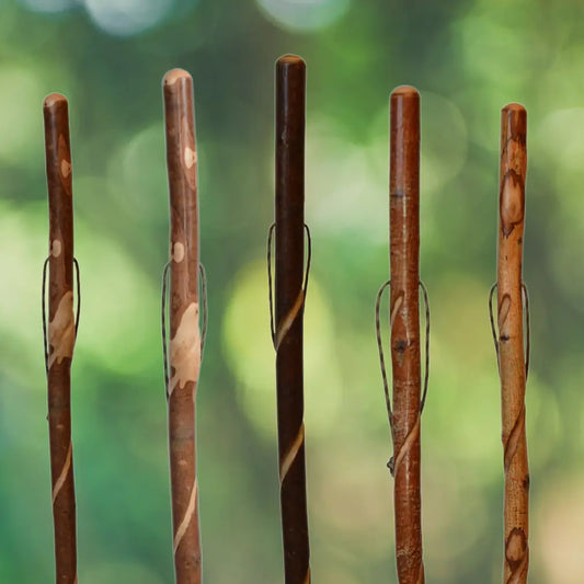 Harvy Canes - Wild Wood Twisted Hiker