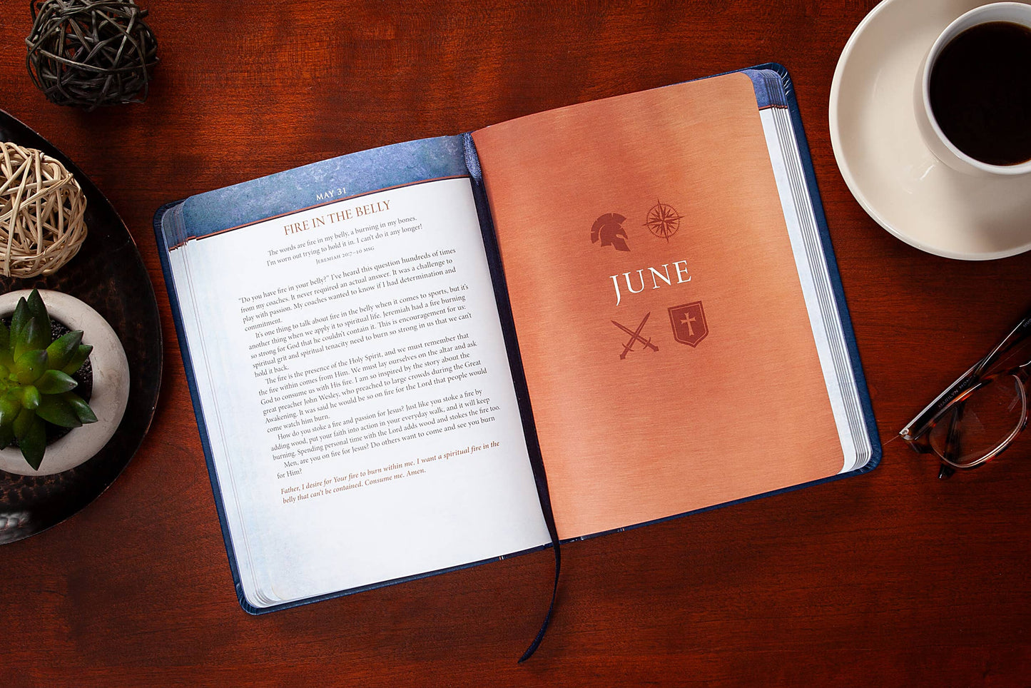 Daily Wisdom for Men (Daily Devotional)