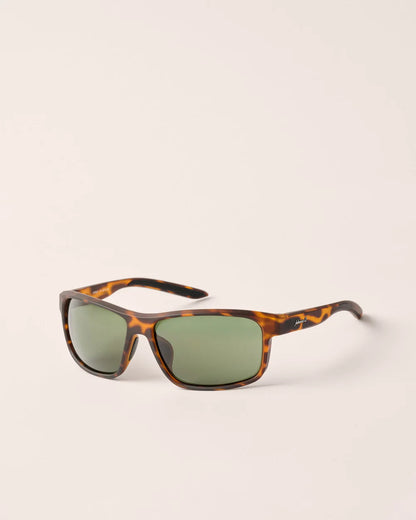 Cypress Sunglass