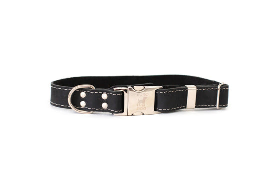 Euro-Dog Collar L