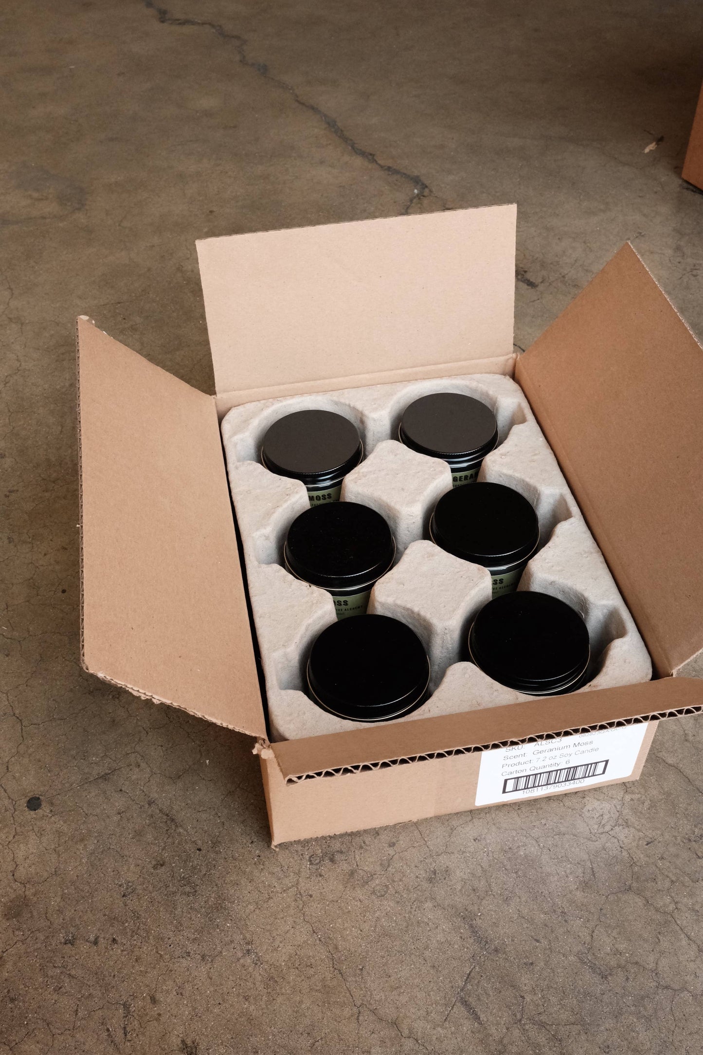 P.F. Candle Co. - Enoki Cedar 7.2 oz. Alchemy Soy Candle