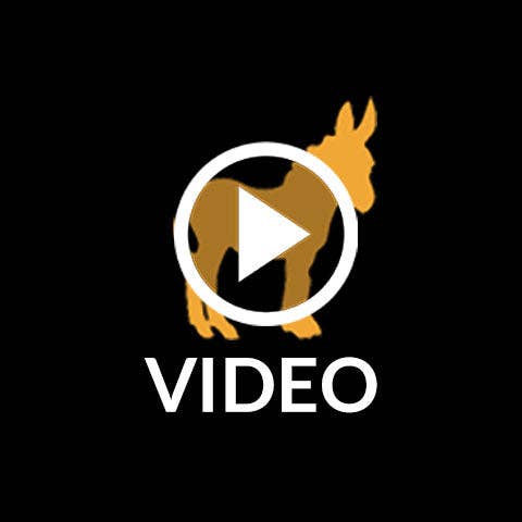 Pete & Pedro - Pete & Pedro's Fresh Unisex Eucalyptus & Spearmint