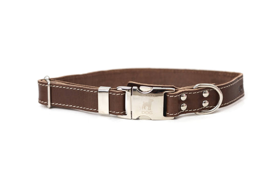 Euro-Dog Collar S